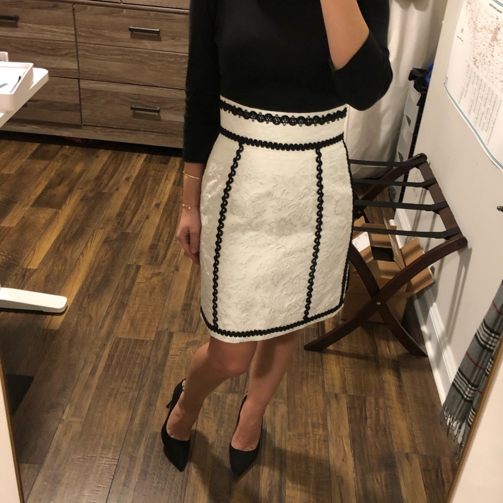 Dolce & Gabbana Pencil Skirt with Black Embroidery (new no tags) - Picture 2 of 6